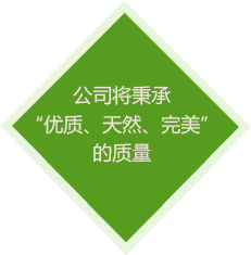 世界杯竞猜投注平台_赛事预测 | 世界杯2026体育专题站