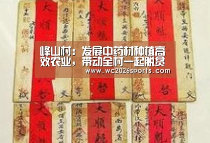 世界杯投注