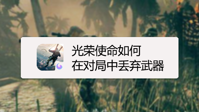 竞猜攻略
