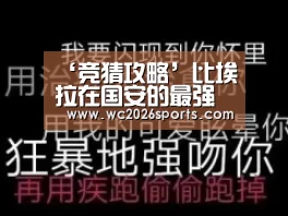 ‘竞猜攻略’比埃拉在国安的最强替身浮出水面!实力不俗曾得到多位名帅器重(图2) 竞猜攻略