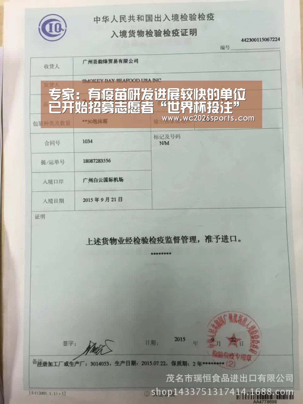 竞猜攻略
