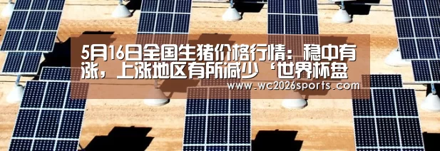 5月16日全国生猪价格行情:稳中有涨,上涨地区有所减少‘世界杯盘口’(图3) 竞猜攻略