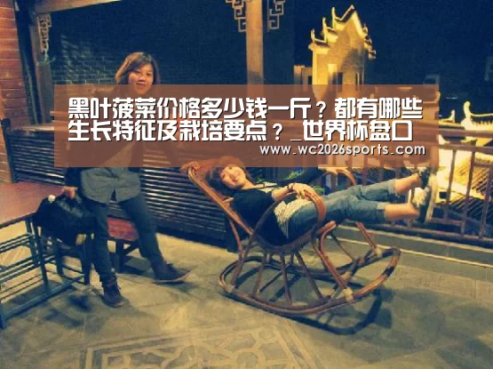 黑叶菠菜价格多少钱一斤?都有哪些生长特征及栽培要点?_世界杯盘口(图1) 竞猜攻略