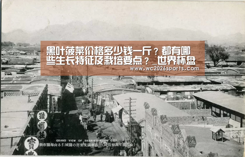 黑叶菠菜价格多少钱一斤?都有哪些生长特征及栽培要点?_世界杯盘口(图4) 竞猜攻略
